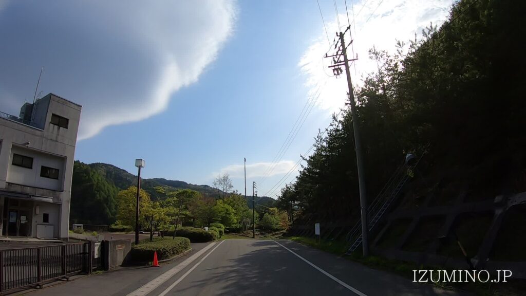 2025 春ドライブ｜5月「新緑の季節、もみじ湖へ」｜諏訪箕輪線 442号