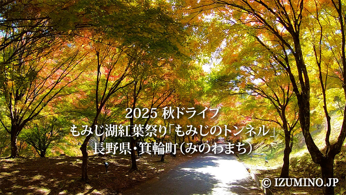 0870791e603f1e869cb4851e4b1c59