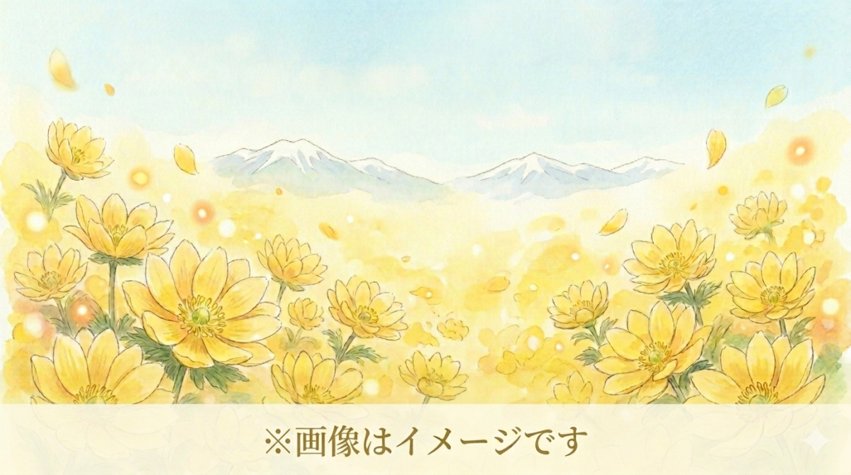 2026松本市 福寿草まつり イメージ